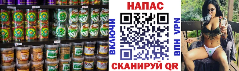 где купить   Щёлково  Canna-Cookies конопля 